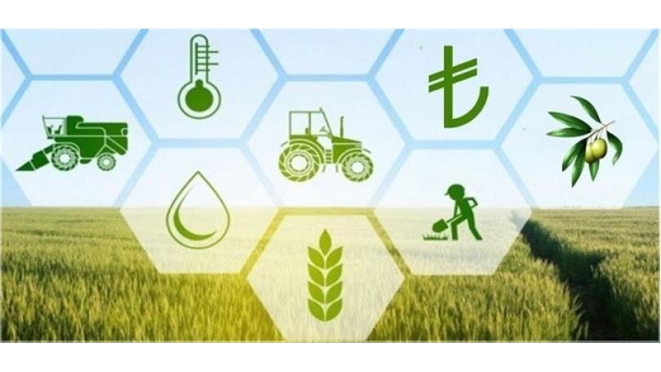 KIRSAL KALKINMA STRATEJİLERİ