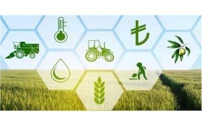 KIRSAL KALKINMA STRATEJİLERİ